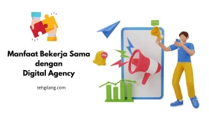 manfaat bekerja sama dengan digital agency jakarta